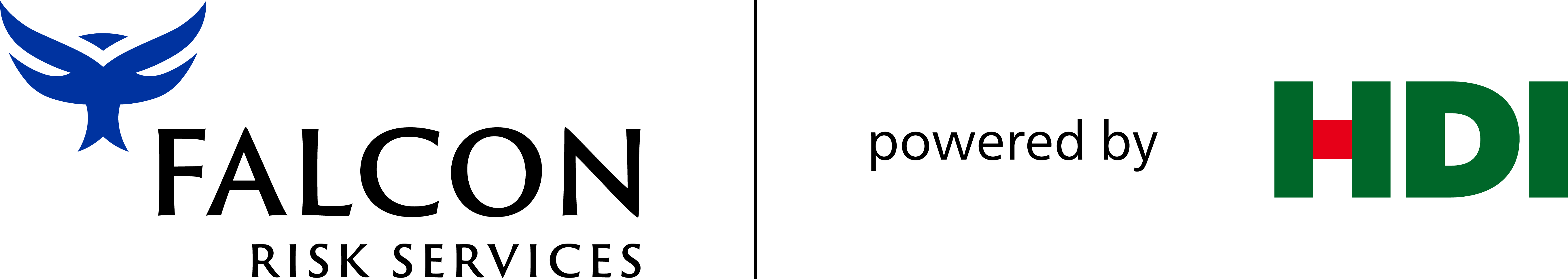 FRS-HDI-logo-more-space-horiz-blue-black-RGB-1